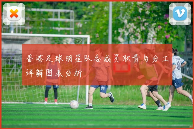 香港足球明星队各成员职责与分工详解图表分析