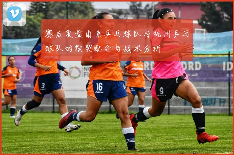 赛后复盘南京乒乓球队与杭州乒乓球队的默契配合与战术分析