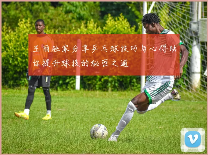 王丽独家分享乒乓球技巧与心得助你提升球技的秘密之道