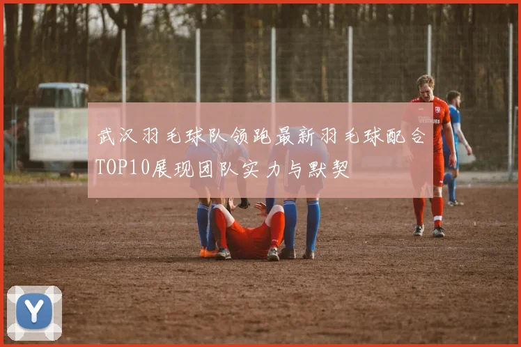 武汉羽毛球队领跑最新羽毛球配合TOP10展现团队实力与默契