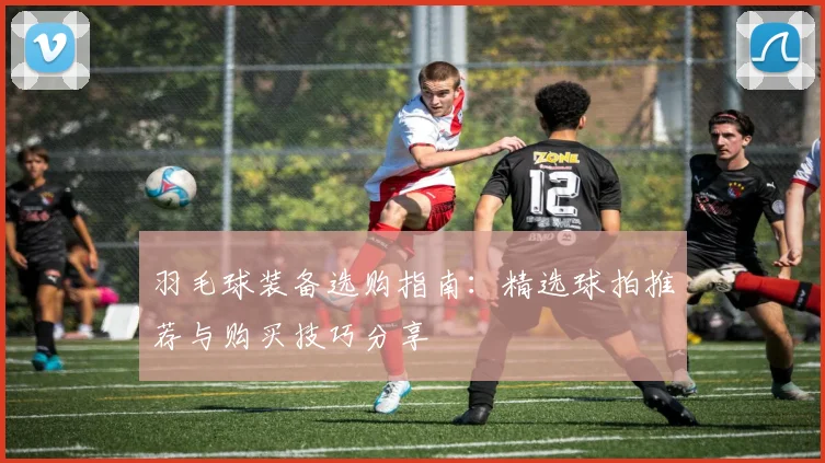 羽毛球装备选购指南：精选球拍推荐与购买技巧分享