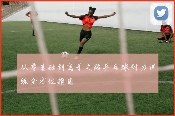 从零基础到高手之路乒乓球耐力训练全方位指南