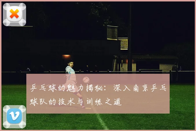 乒乓球的魅力揭秘：深入南京乒乓球队的技术与训练之道