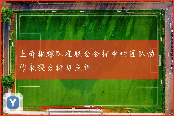 上海排球队在联合会杯中的团队协作表现分析与点评