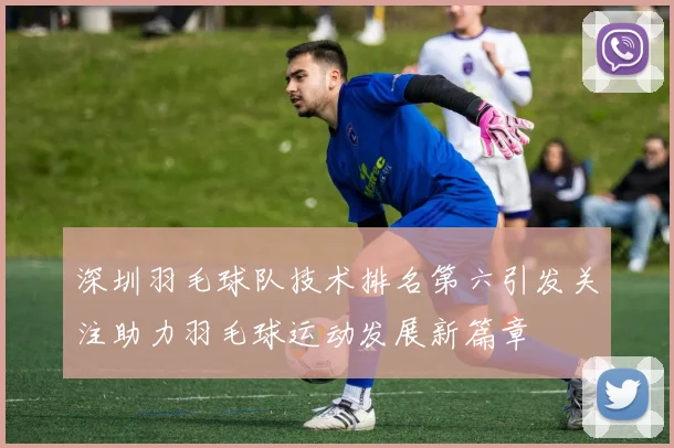 深圳羽毛球队技术排名第六引发关注助力羽毛球运动发展新篇章