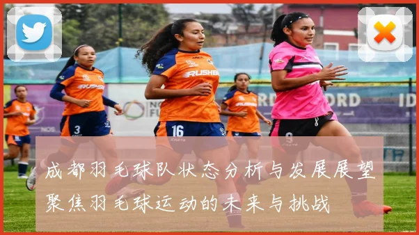 成都羽毛球队状态分析与发展展望聚焦羽毛球运动的未来与挑战