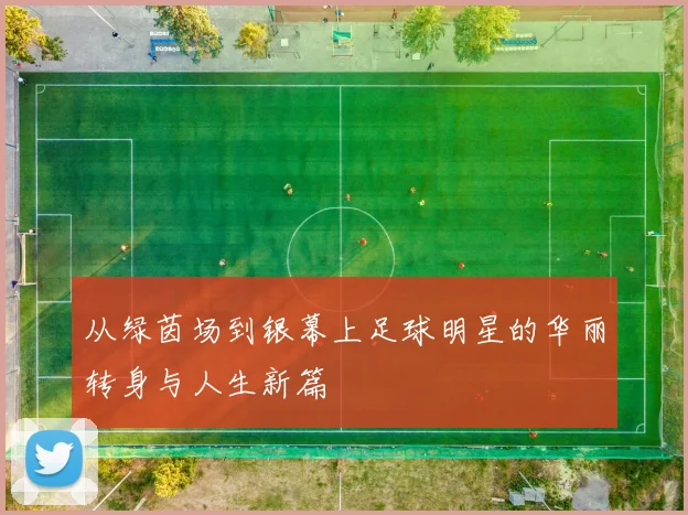 从绿茵场到银幕上足球明星的华丽转身与人生新篇