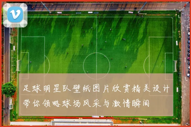 足球明星队壁纸图片欣赏精美设计带你领略球场风采与激情瞬间