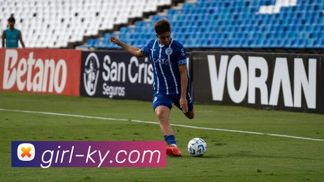 开云平台生态图